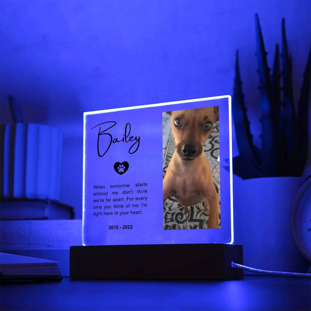 Personalized Pet Memorial Acrylic Plaque | Memorial Night Light